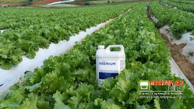 FERTILIZANTE PREMIUM COMPLETO (INDICADO PARA TODAS AS CULTURAS EM TODAS AS SUAS FASES)