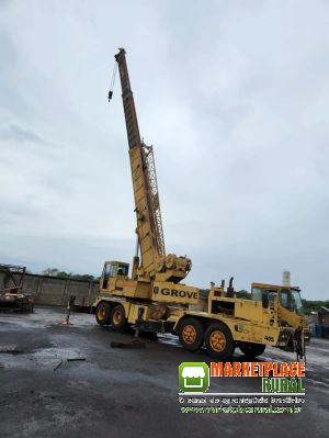1989 Guindaste Grove crane