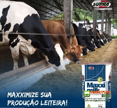 Maxxi Milk 22×75 Tamponada AE - Alta Produção Leite Vacas