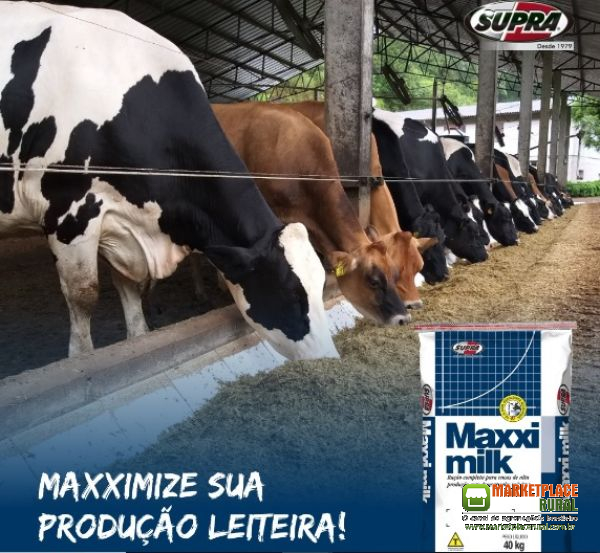 Maxxi Milk 22×75 Tamponada AE - Alta Produção Leite Vacas