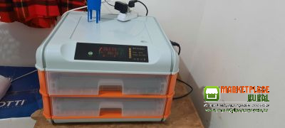 Chocadeira opus 128 ovos automática