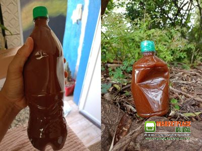 Ayahuasca Graduação 7.1 do Acre 500 ML