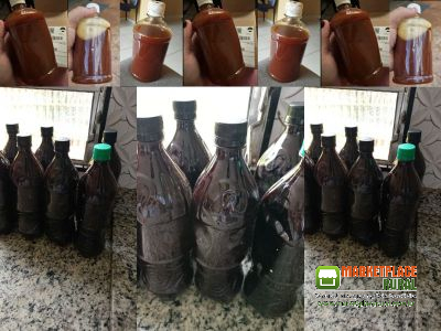 Ayahuasca Mel 10.1 -  500ML