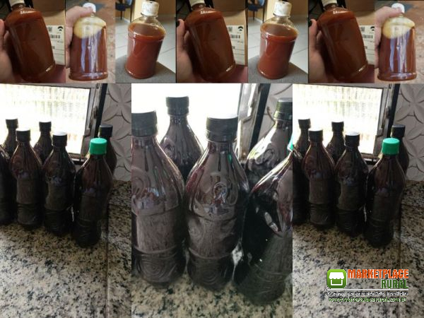 Ayahuasca Mel 10.1 -  500ML