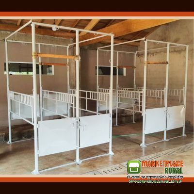 Brete/Tronco de contenção Equino
