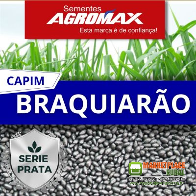 Sementes de Capim Brachiarão - ( Brachiaria Brizantha Marandu ) 10kg