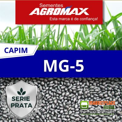 Sementes de Capim Brachiaria MG5 = Xaraés = Capim Toledo 10kg