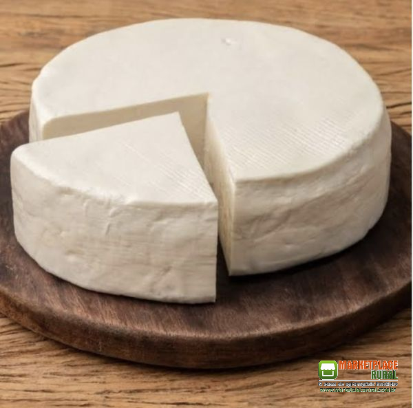 Queijo minas pra revender