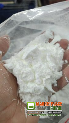 Tetracaina cafeina