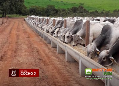 Cocho para Confinamento de Concreto