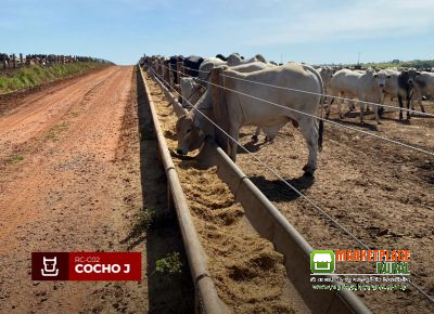 Cocho para Confinamento de Concreto