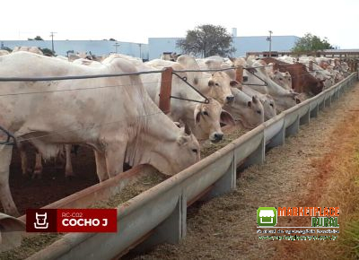 Cocho para Confinamento de Concreto