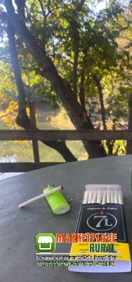 CIGARRO DE PALHA 7L